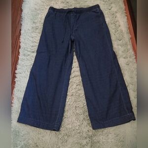 American Eagle Outfitters Blue Wide-Leg Pants